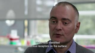 Dr Olivier Neyrolles National Junior Award  Prix Sanofi  Institut Pasteur 2016 [upl. by Atiugal]