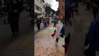 Fasnacht Nunningen 2019 [upl. by Naida]