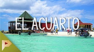 El Acuario  San Andrés 4  Próxima Parada [upl. by Richman]