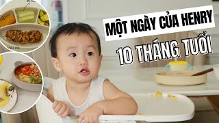 Lịch Sinh Hoạt Của Em Bé 10 Tháng Tuổi Henry Ăn Gì Chơi Gì Trong Một Ngày [upl. by Hgielhsa961]