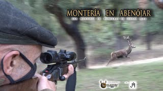 “MONTERÍA EN ABENÒJAR CON MONTEROS DE CIUDAD REAL”🎥🦌En Abenójar 14 de Noviembre del 2020 [upl. by Chadbourne]