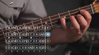 How to Do Roots amp Fifths Exercises  Bass Guitar [upl. by Stouffer]