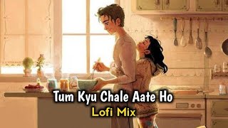 Tum Kyu Chale Aate Ho  SlowReverb   KK  Lofi Night [upl. by Meesak458]