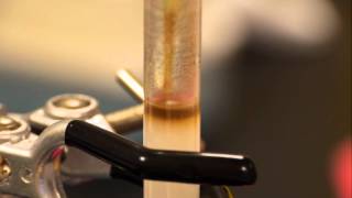 Anion Exchange Chromatography  separating haemoglobin and catalase [upl. by Sharron360]