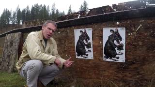 Shooting a 9mm at 50 and 100 yards [upl. by Goldsmith878]