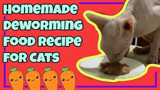 Homemade Deworming Food Recipe For Cats  Paano mag deworm ng pusa  Natural Cat Deworm [upl. by Leibman]