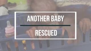 Another Baby Rescued [upl. by Ahterod]