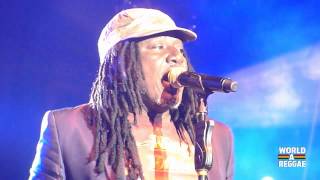 Alpha Blondy Live at Reggae Sundance NL August 10 2013 [upl. by Elehcir948]