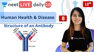 NEET Human Health and Disease  L8  Class 12  Live Daily 20  Unacademy NEET  Seep Maam [upl. by Aleit]