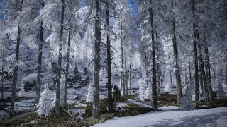 Skyrim SE 2022  Gameplay  Blubbo is testing the new snow pines v3 tree set [upl. by Lynea]