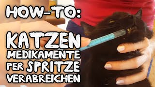 HowTo Katze Medikament mit Spritze geben zB bei Niereninsuffizienz  Diabetes [upl. by Sadnalor]