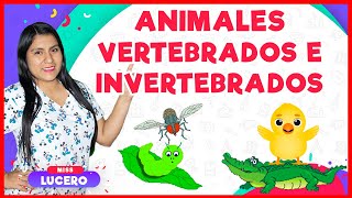 Animales Vertebrados e Invertebrados  Miss Lucero [upl. by Derna]