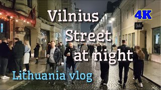 Travel to Lithuania  Vilnius 4K  Vilnius street at night  2024 [upl. by Nodnerb]