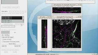 Simple Neurite Tracer  fitting centres and filling [upl. by Llertnad]