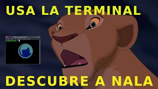 Descubre a 🦁 NALA 🦁 Muy visual fácil de usar y rápidas descargas Como usarlo Parte 1 [upl. by Elocal960]