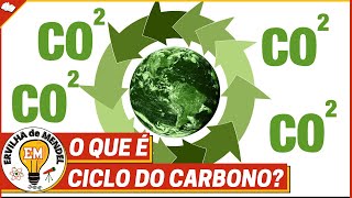 CICLO DO CARBONO  O que é o ciclo do carbono [upl. by Bettencourt]