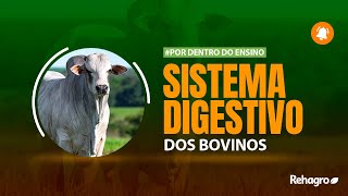 Funcionamento do Sistema DIGESTIVO dos BOVINOS [upl. by Kcirdnek]