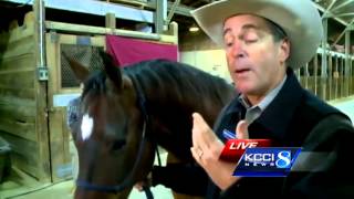 Horse bites reporter during live report [upl. by Jacqui]