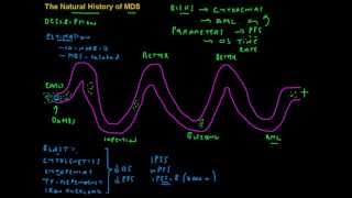 The Natural History of Myelodysplastic Syndromes Intermediate level [upl. by Cerell]