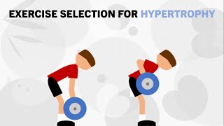 How to Select the Most Effective Hypertrophy Exercises  Exercise Selection for Muscle Growth [upl. by Terr389]