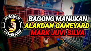 PASILIP SA BAGONG MANUKAN [upl. by Arahc]