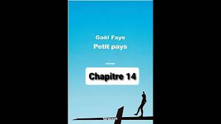 15  Petit Pays  Gael Faye  aide à la lecture  Chapitre 15 [upl. by Juno]