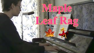 Scott Joplin Maple Leaf Rag [upl. by Anahsohs]