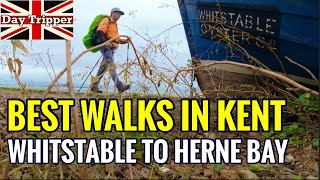 Best Walks in Kent  Saxon Shore Way Whitstable to Herne Bay and Reculver Day Tripper Vlog 45 [upl. by Keith136]