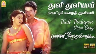 Thuli Thuliyai Karaoke Parvai Ondre Podhume Lyrics [upl. by Pontus]