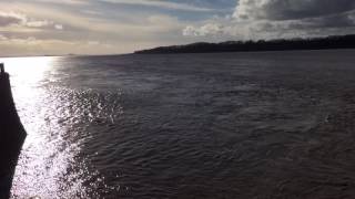 Fast outgoing tide at sharpness docks Berkeley Gloucestershire on the river Severn [upl. by Ynnig]