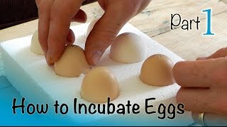 How to Incubate and Hatch Eggs  Part 1 of 3  Setting up the Incubator [upl. by Mera975]