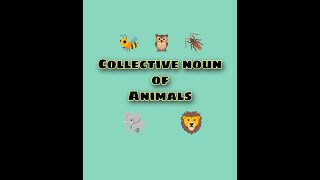 Collective nouns of animals noun  collective noun  group of animals [upl. by Rube]