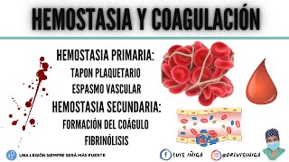 Hemostasia y Coagulación Tapón plaquetario Mecanismo general Vía intrínseca y extrínseca [upl. by Odlaner920]