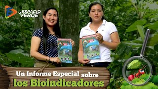 Especial  ¿Cómo se clasifican los Bioindicadores [upl. by Garland705]