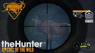 En busca del Ciervo Común DIAMANTE  EMERALD COAST  TheHunter Call of the Wild [upl. by Nee]