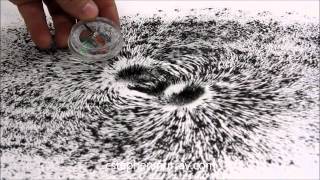 Magnetic Field Around Stack of Magnets With Iron Filings [upl. by Rezal]