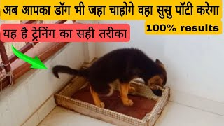 dog potty training 100 results👍👍 dog ko potty training dene ka sahi tarika  डॉग पॉटी ट्रेनिग [upl. by Cordell]