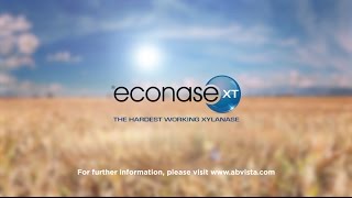 Econase XT  the hardest working xylanase [upl. by Adnahcir]