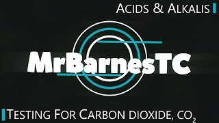 GCSE Chemistry 19 What is the Chemical Test for Carbon Dioxide [upl. by Bussy463]