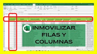 COMO INMOVILIZAR COLUMNAS Y FILAS EN EXCEL AL MISMO TIEMPO [upl. by Shanney117]