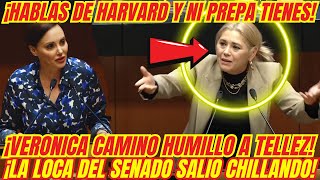 ¡BOFETADON QUE SE LLEVÓ LA LOCA DEL SENADO ¡VERONICA CAMINO LA HIZO TRIZAS [upl. by Arimat]