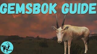 Vurhonga Savanna Gemsbok Guide  A Rare Gold Gemsbok TheHunter Call Of The Wild 2023 [upl. by Rufina]