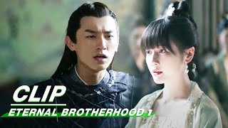 Zichuan Xiu was Framed  Eternal Brotherhood 1 EP6  紫川·光明三杰  iQIYI [upl. by Yecnay695]