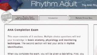 Introduction to EKG Rhythm Interpretation Part 1 [upl. by Aticnemrac314]