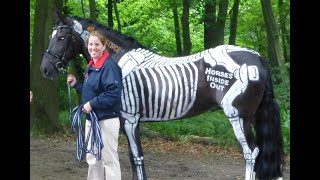 Horses Inside Out at the CHIO Show Rotterdam [upl. by Naitsabes]