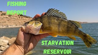 Starvation Reservoir Fishing Report [upl. by Asilahs]