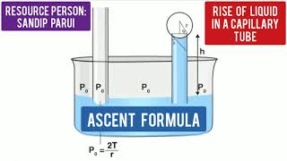 Physicsforclass11 Capillarity C2  Ascent Formula Rise of liquid in a capillary tube [upl. by Erinn]