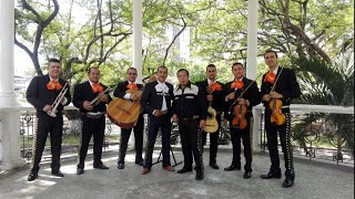 QUE DIOS TE BENDIGA  MARIACHI ESTELAR DE ORO CANCIÓN DE CUMPLEAÑOS [upl. by Eatnom]