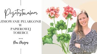 Przetestowałam zimowanie pelargonii w torebce papierowej 🌺 [upl. by Nerrot]