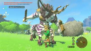 How to EASELLY kill a Silver Lynel in Tears of the Kingdom [upl. by Eniamaj]